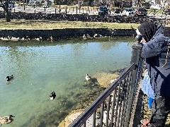 Ruth Bennett McDougal Dorrough; Our Daily Walk